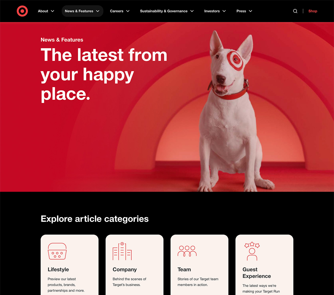 Target Corporate website design